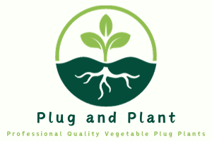 Plug and Plant